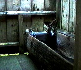 This is a jpeg of the New Bathhouse stalls.